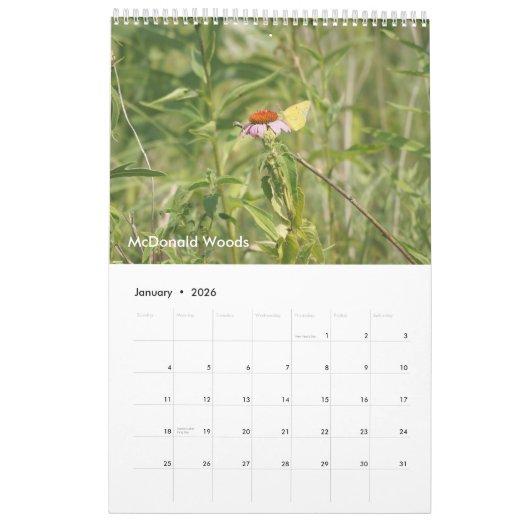 レイク郡の森が2021ページを保存独身の カレンダー (1月 2026)