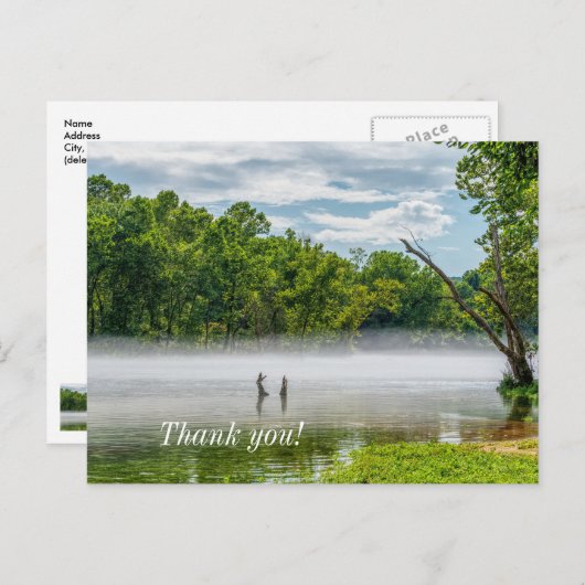 レイク・タニーコモの夏の霧 感謝のポストカード ポストカード (正面/裏面)