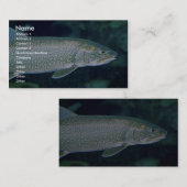 レイク・トラウト 名刺 (正面/裏面)