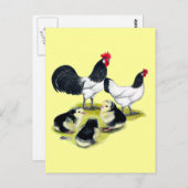 レイケンフェルダーチキンファミリー ポストカード (正面/裏面)