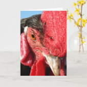 レイケンフェルダールースター顔 カード (黄色い花)