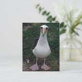 レイサン・アルバトロス立地 ポストカード (スタンド正面)