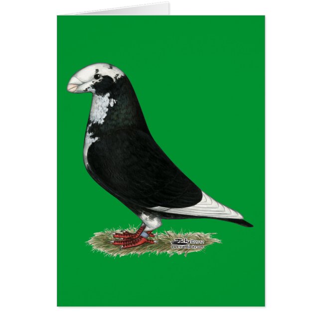 レイサーを表示 (正面)