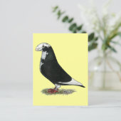 レイサーを表示 ポストカード (スタンド正面)