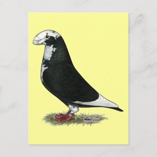 レイサーを表示 ポストカード (正面)