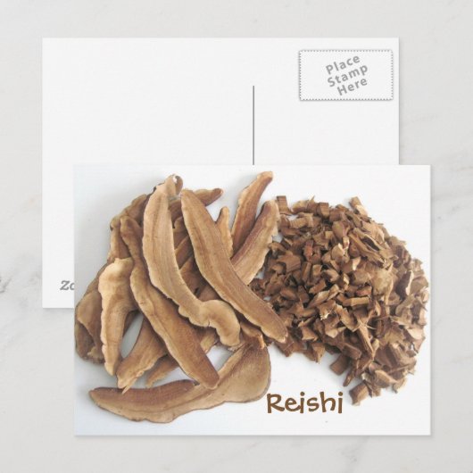 レイシキノコ ポストカード (正面/裏面)