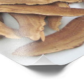 レイシマッシュルームフォトプリント フォトプリント            (角)