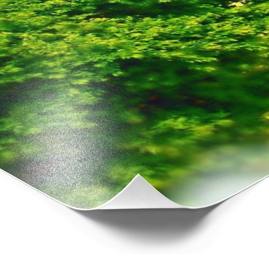 レイショアズオブシカゴビーチ フォトプリント            (角)