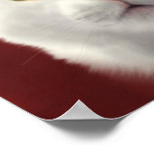 レイシー ポスター (角)