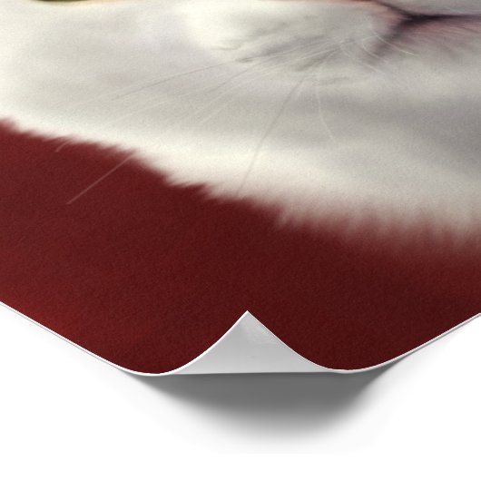 レイシー ポスター (角)