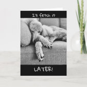 レイジーおもしろいプードルで退職おめでとう カード (正面)