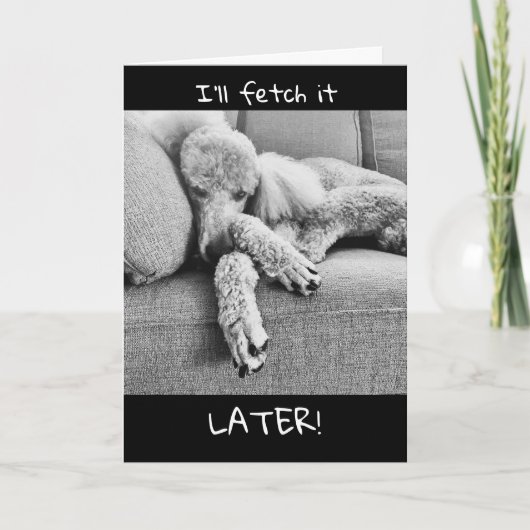 レイジーおもしろいプードルで退職おめでとう カード (正面)