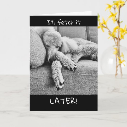 レイジーおもしろいプードルで退職おめでとう カード (黄色い花)