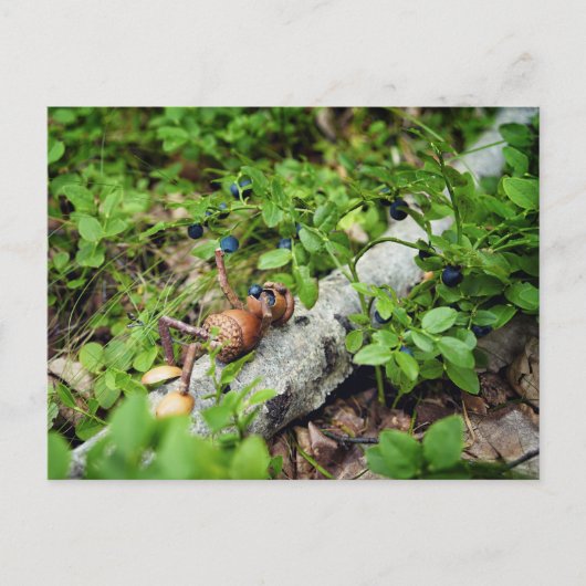 レイジーアコーン小妖精や小人食べズブルーベリー ポストカード (正面)