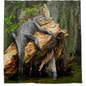 レイジーアリゲーターシャワーカーテンバイドゥグリー シャワーカーテン (正面)