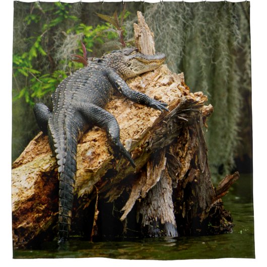 レイジーアリゲーターシャワーカーテンバイドゥグリー シャワーカーテン (正面)