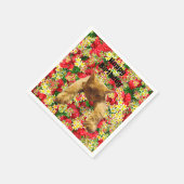 レイジーキャットオンバラ、誕生日紙ナプキンス スタンダードカクテルナプキン (角)