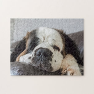 レイジーサンベルナール犬 ジグソーパズル