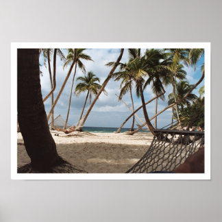 レイジーパームツリー日 ポスター