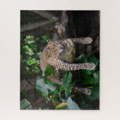 レイジーヒョウパズル ジグソーパズル (縦)