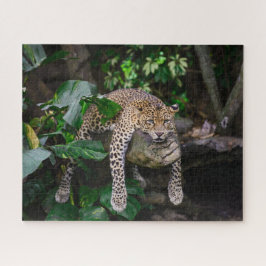 レイジーヒョウパズル ジグソーパズル