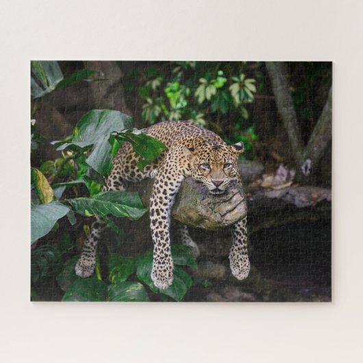 レイジーヒョウパズル ジグソーパズル (横)