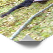 レイジー日キャンバス ポスター (角)