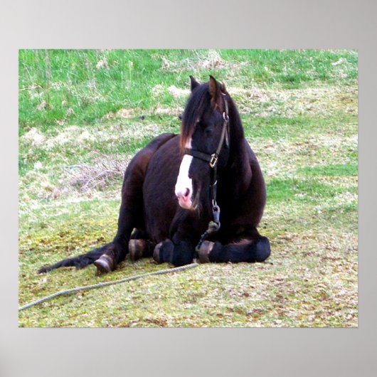 レイジー日キャンバス ポスター (正面)