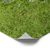 レイストーンズオンヤップ島 ポスター (角)