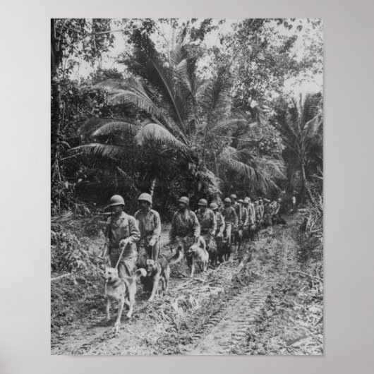 レイダース ポスター (正面)