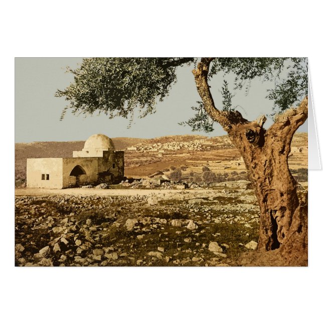 レイチェルの墓 (正面横)