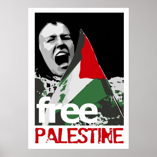 レイチェル・コリーのポスター ポスター (正面)