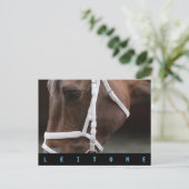 レイトン ポストカード (スタンド正面)