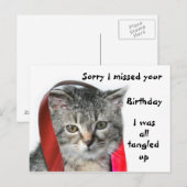 レイト誕生日子猫 ポストカード (正面/裏面)