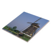 レイドシェンダムオランダ タイル (側面)