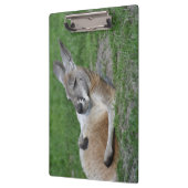 レイドバックカンガルー クリップボード (左)