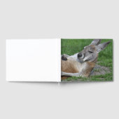 レイドバックカンガルー ゲストブック (全面)