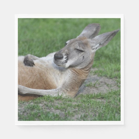 レイドバックカンガルー スタンダードランチョンナプキン (正面)