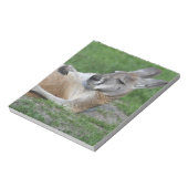 レイドバックカンガルー ノートパッド (回転)