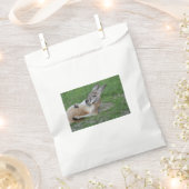 レイドバックカンガルー フェイバーバッグ (クリップ留めされた状態)