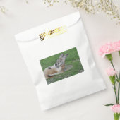 レイドバックカンガルー フェイバーバッグ (封をした状態)