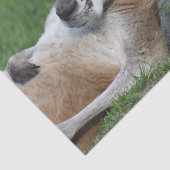 レイドバックカンガルー 薄葉紙 (詳細)