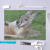 レイドバックカンガルー 薄葉紙 (クラフト)