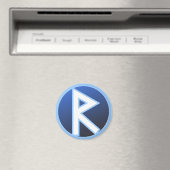 レイドライドルーン マグネット (インサイチュ (食洗機))