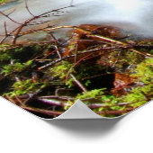 レイニア山国立公園のクリーク ポスター (角)