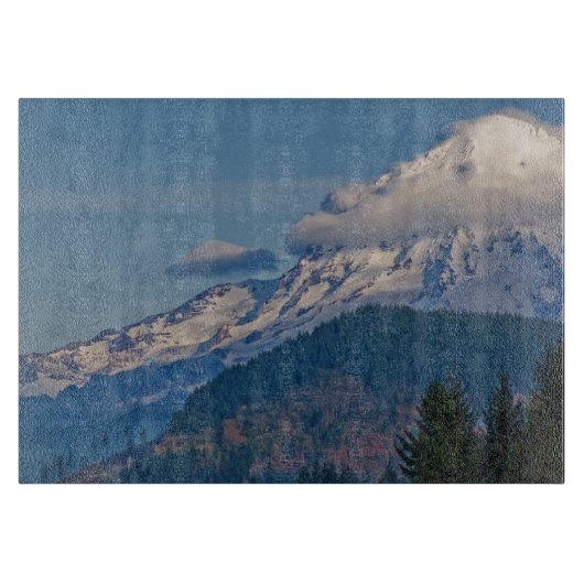 レイニアP5002 カッティングボード (正面)