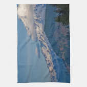 レイニアP5002 キッチンタオル (縦)