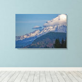 レイニアP5002 キャンバスプリント (インサイチュ (ウッドフロア))