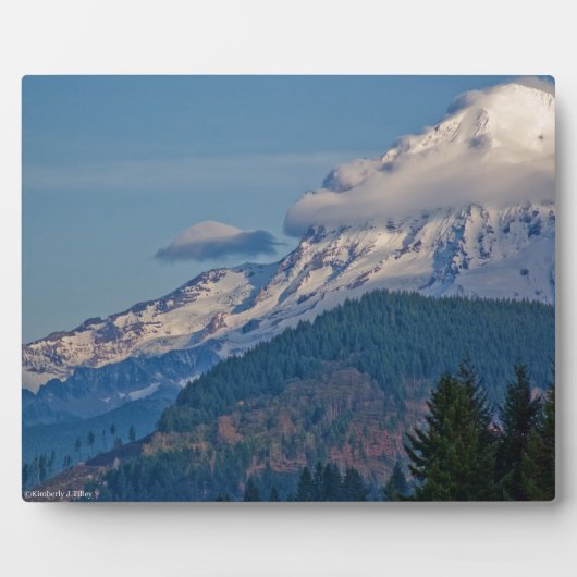 レイニアP5002 フォトプラーク (正面)