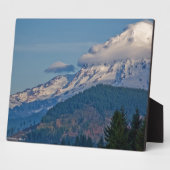 レイニアP5002 フォトプラーク (側面)